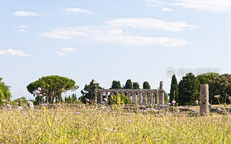 罗马神庙- Paestum